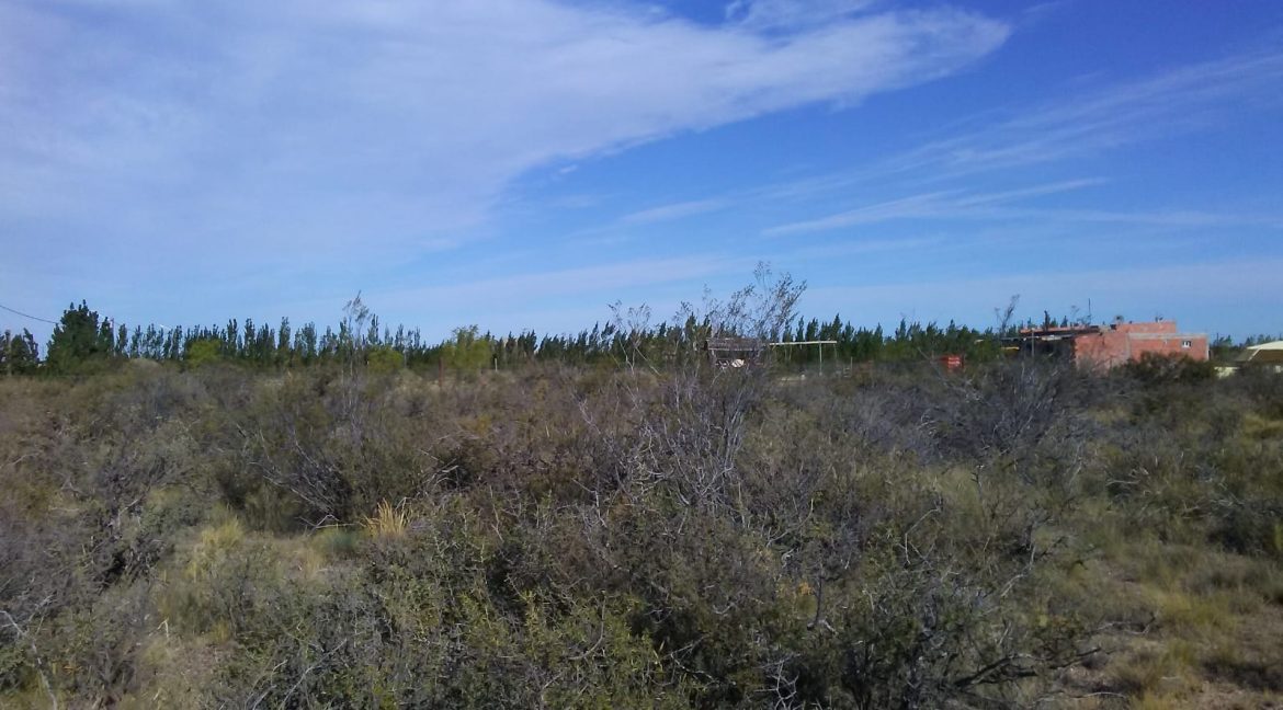 Terrenos en Venta Parque Ecologico Area El Doradillo Puerto Madryn Chubut
