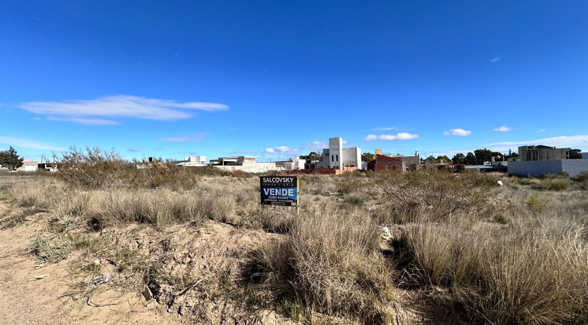 Blanqueo de capitales Puerto Madryn